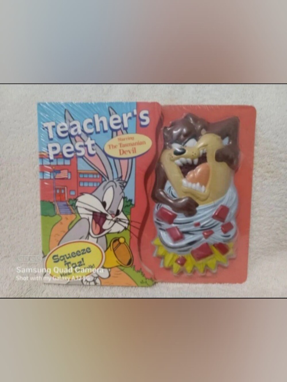 Vintage Looney tunes teacher's pest play sound book